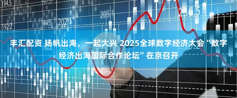 丰汇配资 扬帆出海，一起大兴 2025全球数字经济大会“数字经济出海国际合作论坛”在京召开
