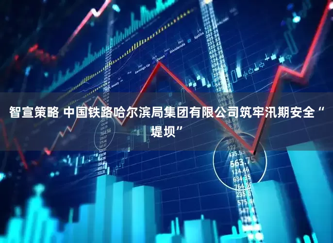 智宣策略 中国铁路哈尔滨局集团有限公司筑牢汛期安全“堤坝”