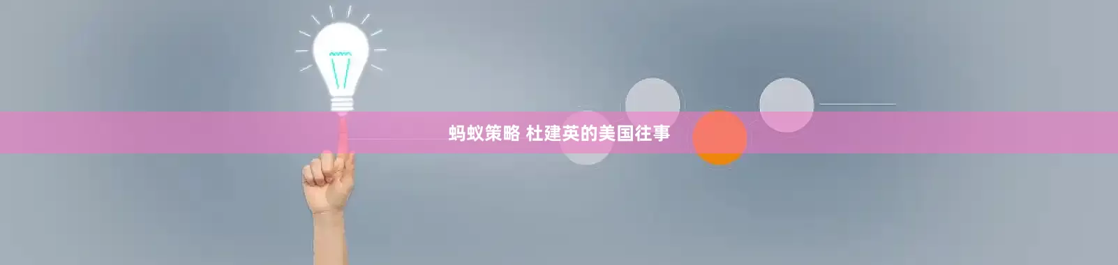 蚂蚁策略 杜建英的美国往事