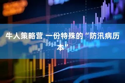 牛人策略营 一份特殊的“防汛病历本”