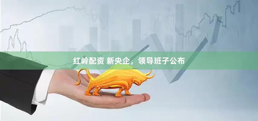 红岭配资 新央企，领导班子公布