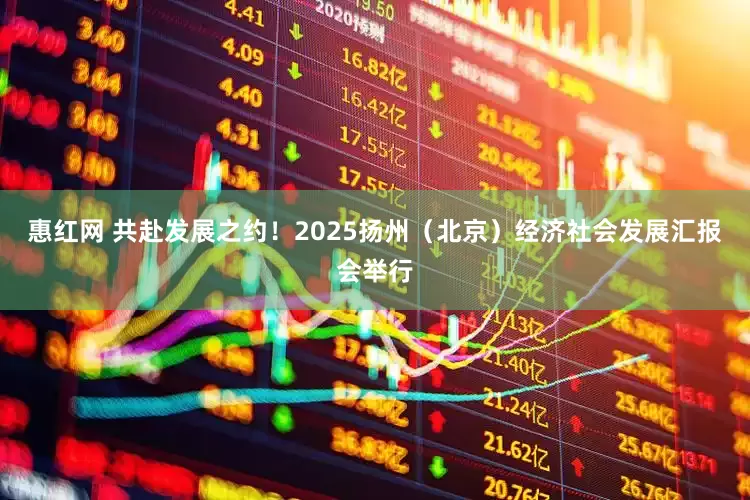 惠红网 共赴发展之约！2025扬州（北京）经济社会发展汇报会举行